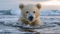 Playful Polar Bear Cub Swimming in Ocean Waves