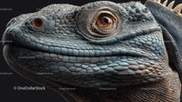 Close-Up Portrait of a Blue Iguana