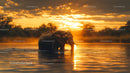 Majestic Elephant in Golden Sunset at Water's Edge