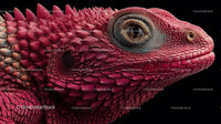 Vibrant Pink Lizard with Intricate Scales Close-Up