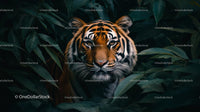 Majestic Bengal Tiger in Lush Jungle Foliage
