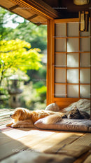 Dog and Cat Relaxing in a Sunlit Japanese Room