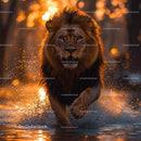 Majestic Lion Charging Through Golden Sunset Waters