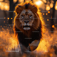 Majestic Lion at Sunrise in Golden Grass