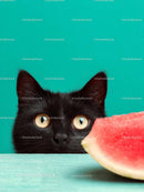 Curious Black Cat Peeking at Watermelon Slice