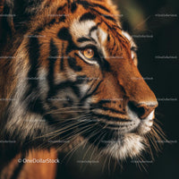 Majestic Bengal Tiger Close-Up in Natural Habitat