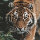 Majestic Siberian Tiger in Forest Close-Up