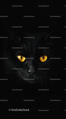 Black Cat with Mysterious Golden Eyes in Shadow
