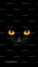 Black Cat with Mesmerizing Yellow Eyes in Darkness
