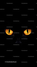 Black Cat with Intense Glowing Eyes in the Dark