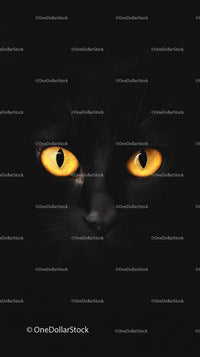 Black Cat with Glowing Yellow Eyes in Darkness
