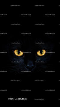 Mysterious Black Cat with Hypnotic Yellow Eyes