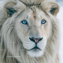 Majestic White Lion with Stunning Blue Eyes Portrait