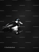 Elegant Duck Floating on Still Water in Monochrome