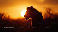 Silhouette of Majestic Lion at Sunset in African Savanna