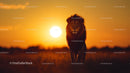 Majestic Lion Silhouette at African Sunset
