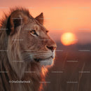 Majestic Lion at Sunset in the African Savanna