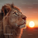 Majestic Lion Gazing Into the Sunset on the Savanna