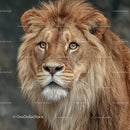 Majestic Lion with Rich Golden Mane and Intense Gaze