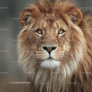 Majestic Lion with Regal Mane and Intense Gaze