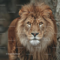 Majestic Lion with Regal Mane in the Wilderness