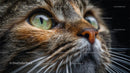 Close-Up of Tabby Cat with Green Eyes