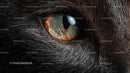 Close-Up of a Cat's Eye with Detailed Fur