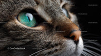 Closeup of a Tabby Cat with Striking Green Eyes