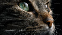 Close-Up of a Tabby Cat's Face with Green Eyes
