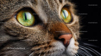 Close-Up of Tabby Cat with Striking Green Eyes