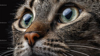Close-Up of Tabby Cat with Striking Green Eyes