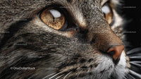Close-Up of a Tabby Cat's Face with Intense Gaze