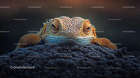 Close-Up of Bearded Dragon Resting on a Lush Surface