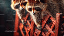 Curious Raccoons Exploring a Red Fence