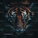 Close-Up Portrait of Majestic Tiger in Jungle