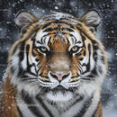 Majestic Tiger in Snowy Winter Setting