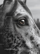 Close-Up of a Spotted Horse's Eye and Facial Detail