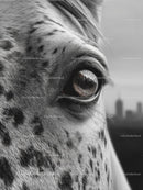 Close-Up of a Horse's Eye with Monochrome Detail