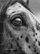 Close-Up of Spotted Horse Eye with Cityscape Reflection