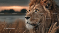 Majestic Lion Gazing at Sunset in Serene Savannah