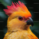 Vibrant Exotic Parrot with Colorful Plumage