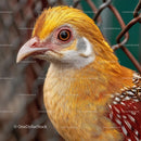 Close-up of a Vibrant Golden Pheasant in Profile