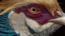 Exotic Bird Closeup with Intricate Feather Details