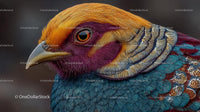 Close-Up of a Colorful Pheasant with Vibrant Plumage