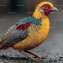 Stunning Golden Pheasant with Vibrant Plumage