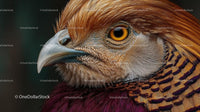 Close-Up of Golden Pheasant with Vibrant Plumage