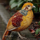 Golden Pheasant with Vibrant Plumage in Natural Setting