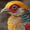 Vibrant Golden Pheasant Close-up with Striking Plumage