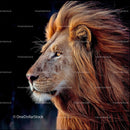 Majestic Lion with Luxurious Mane in Wildlife Portrait