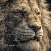 Close-Up Portrait of a Majestic Lion in Natural Habitat